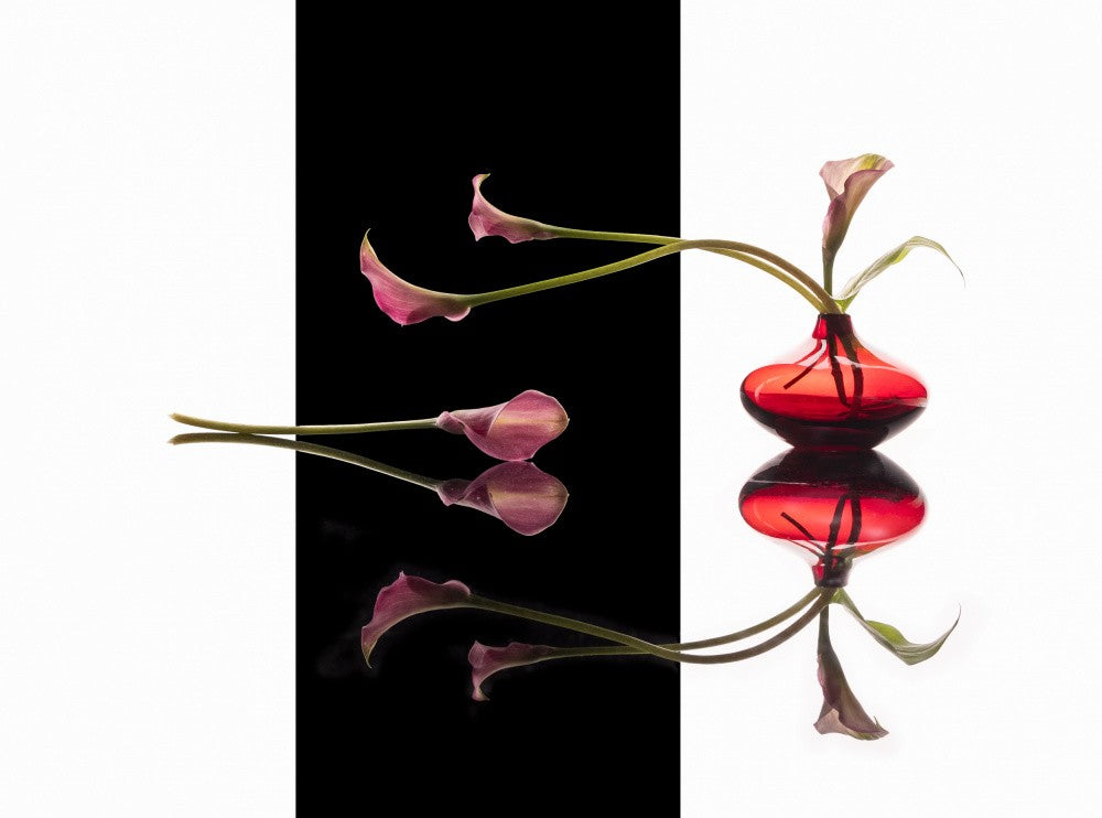 Pink Lily in Red Vase