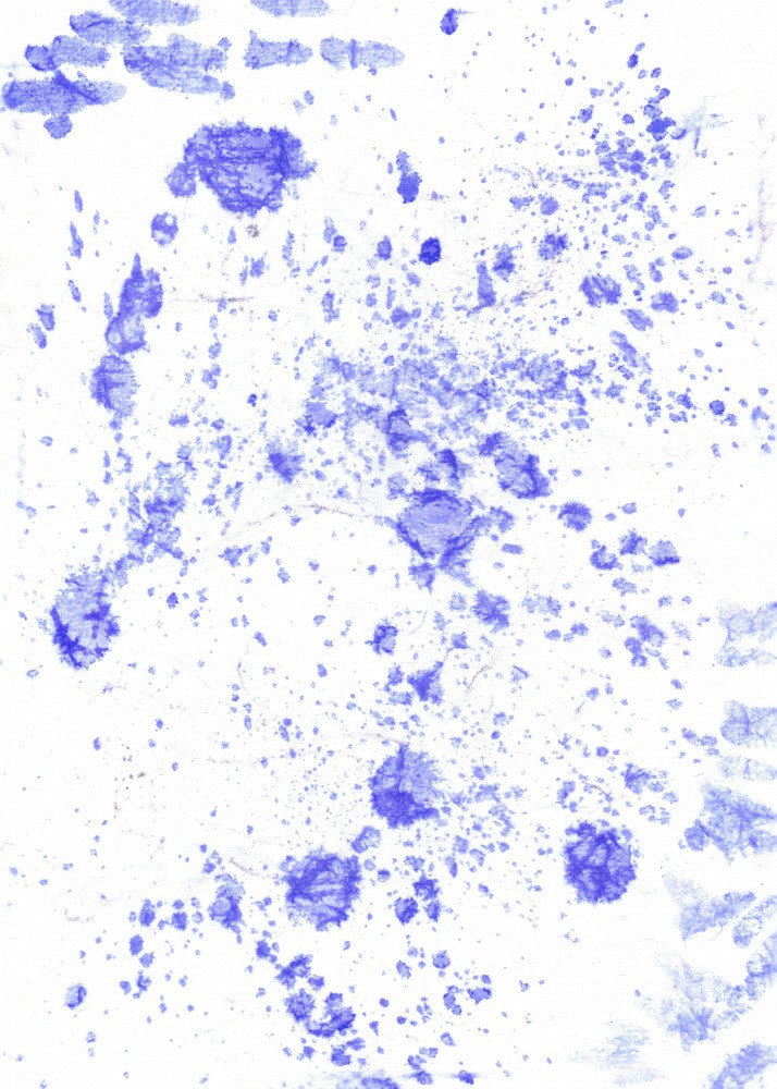 Amoeba