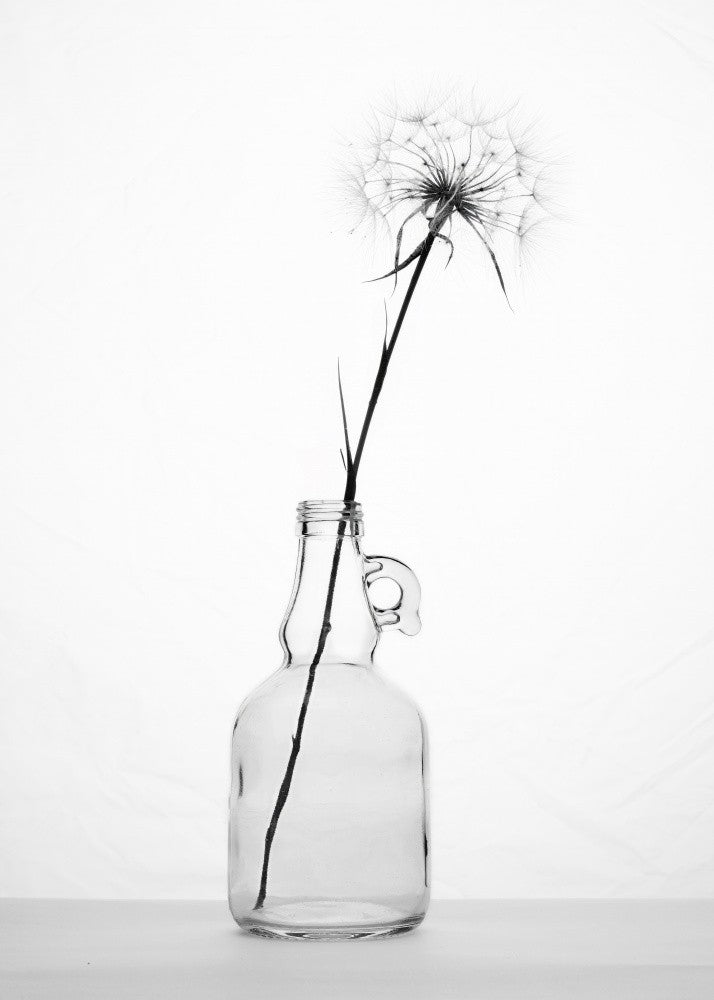 simplicity