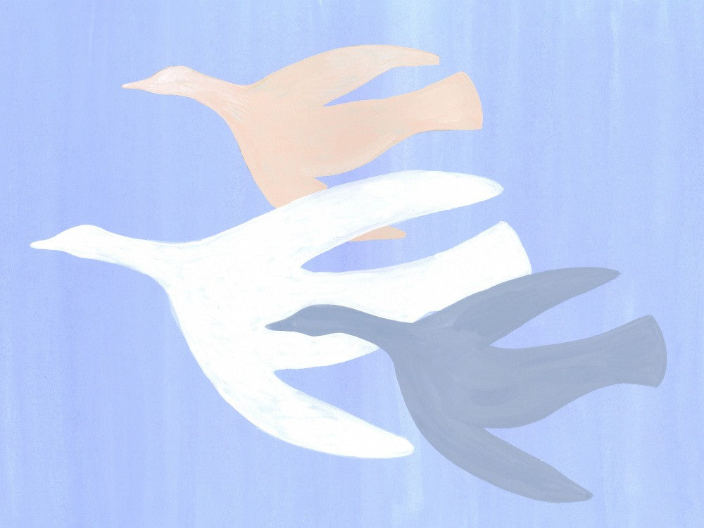 Birds in Flight