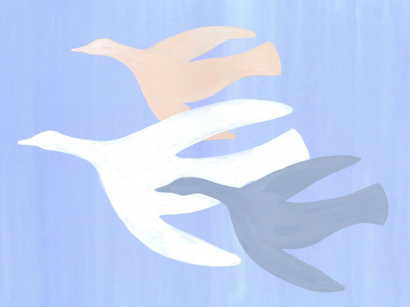 Birds in Flight
