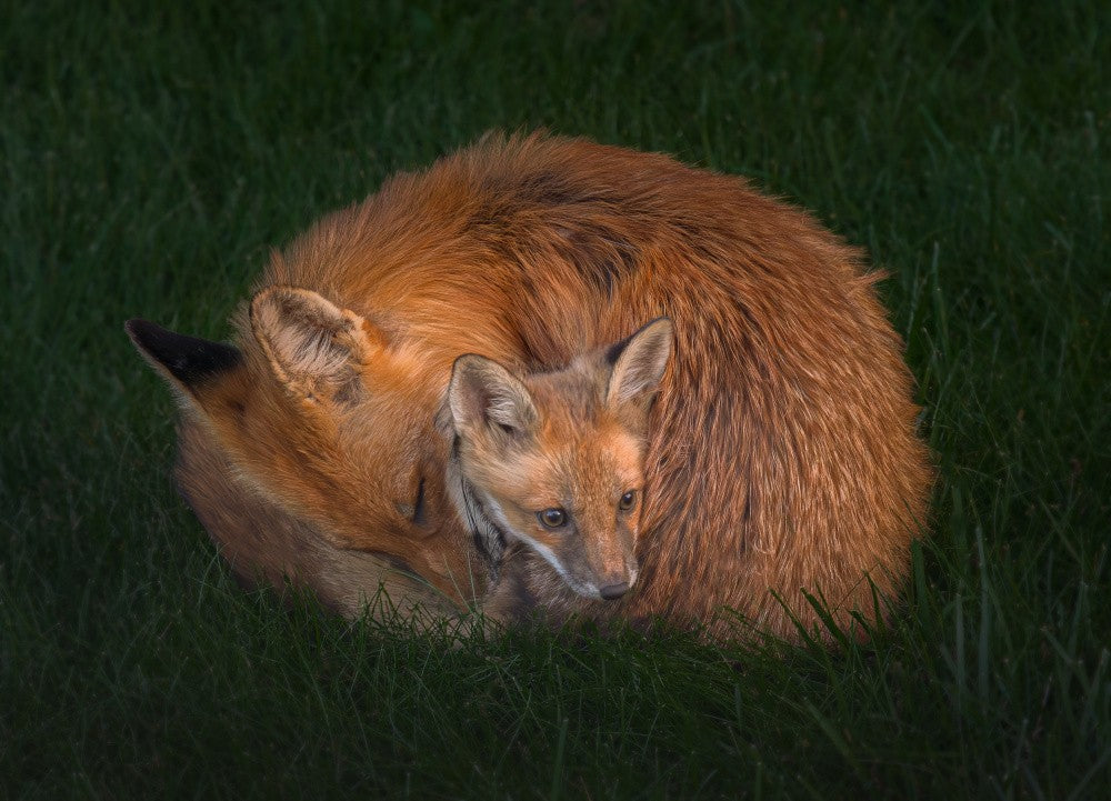 Cozy moment