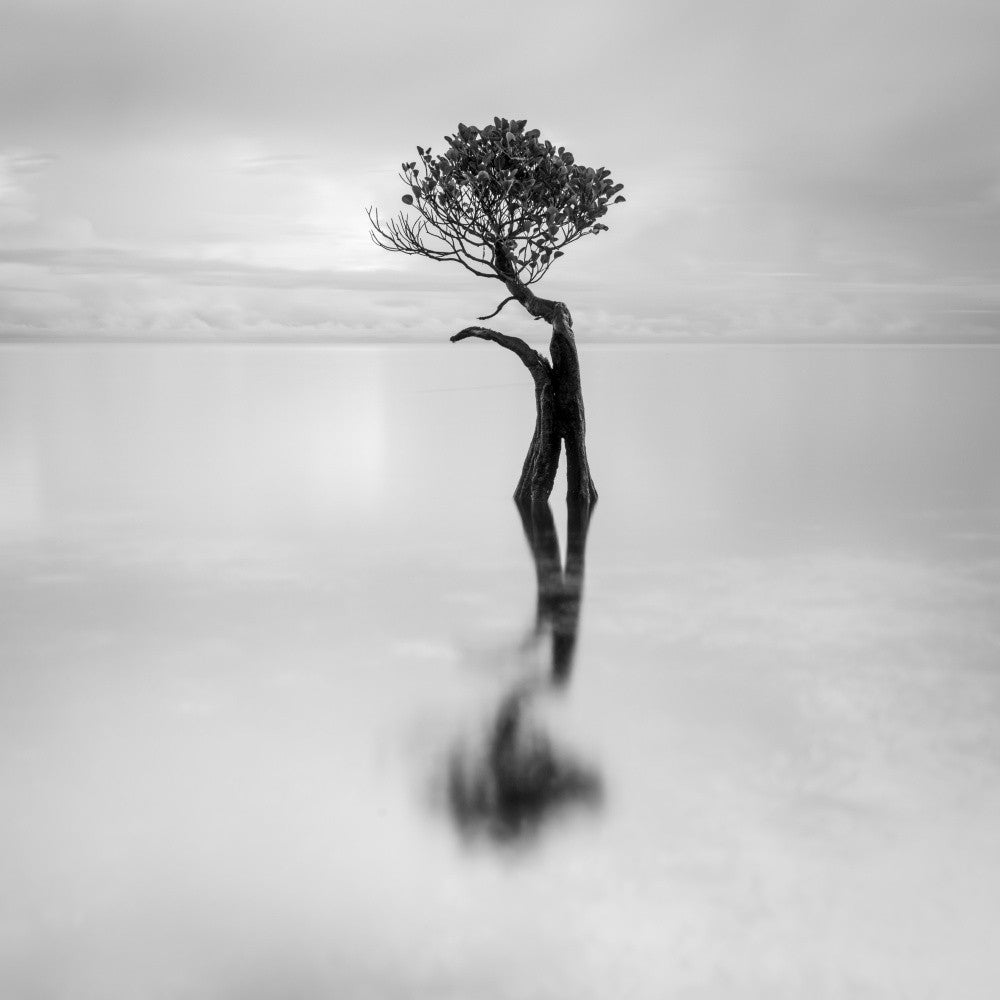 Isolation