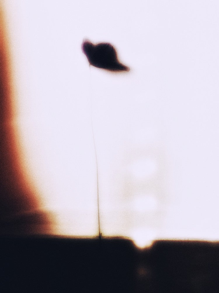 Img 7320