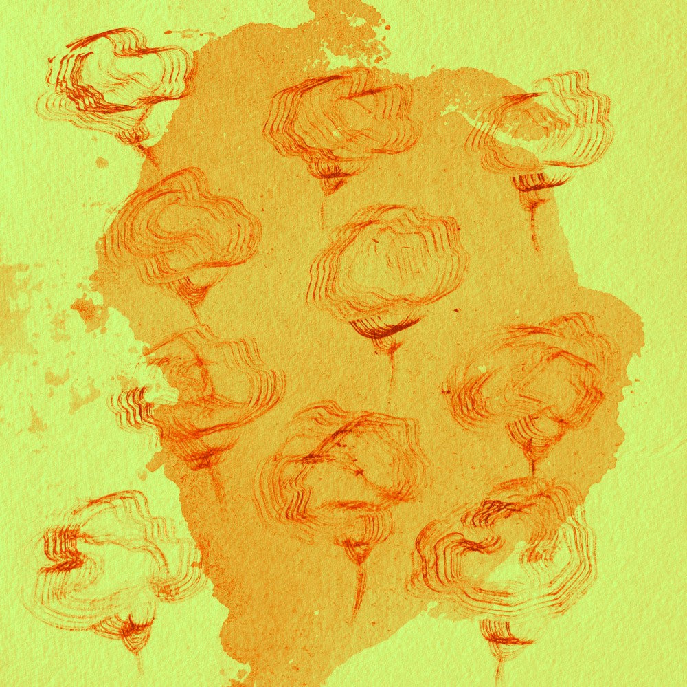 Amber Bloom Dance