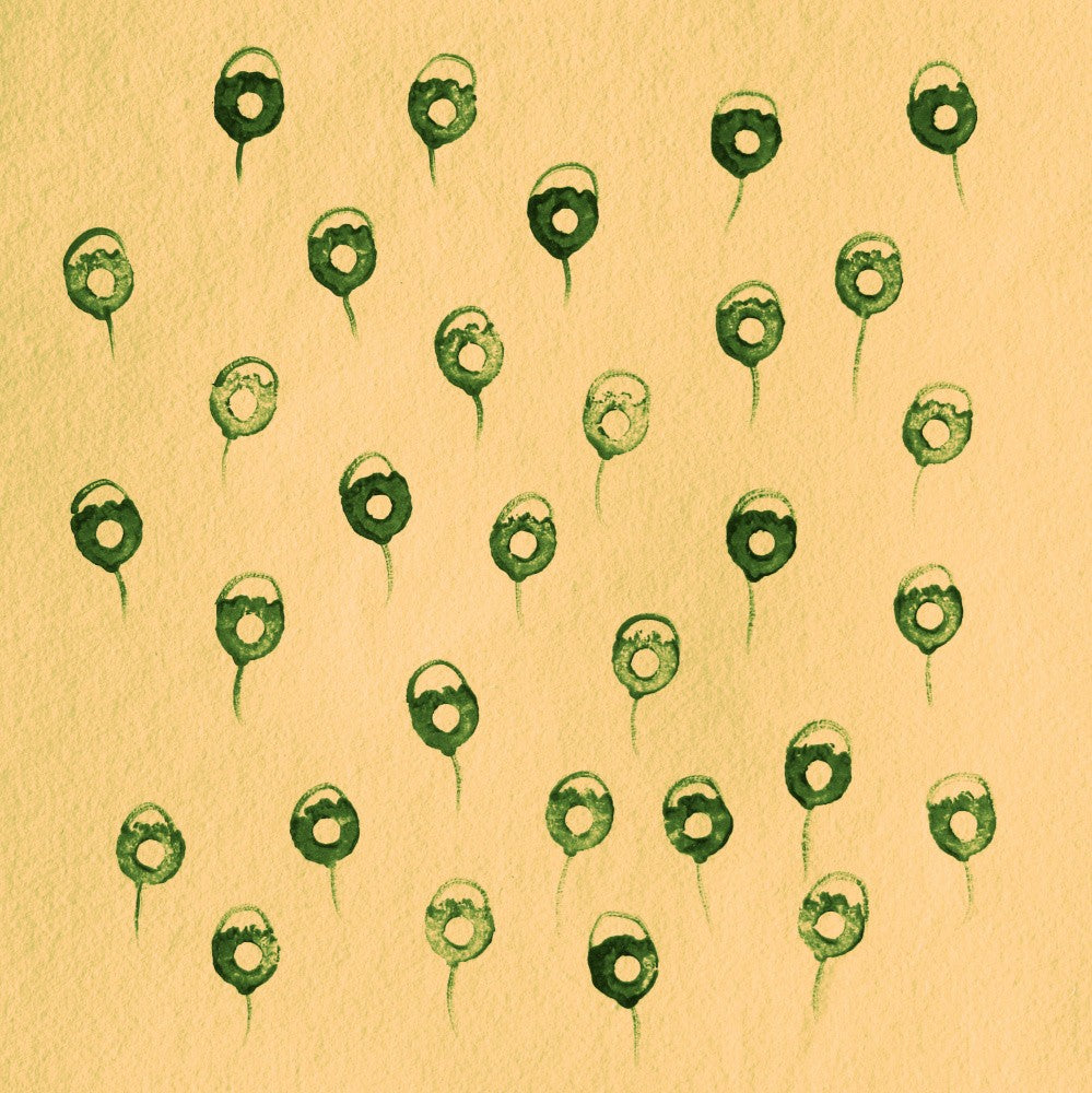 Whimsical Seeds