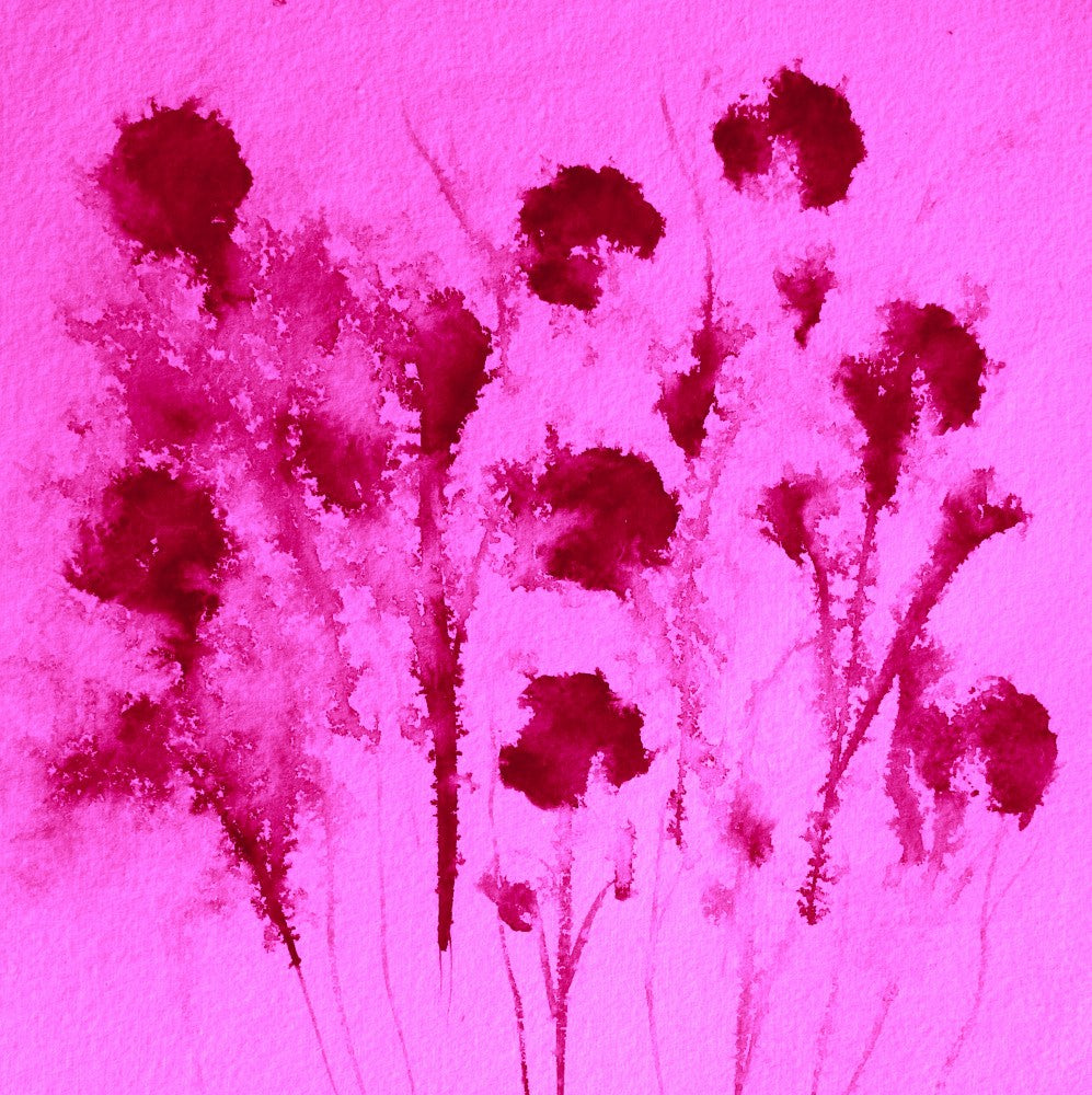 Blossom Breeze