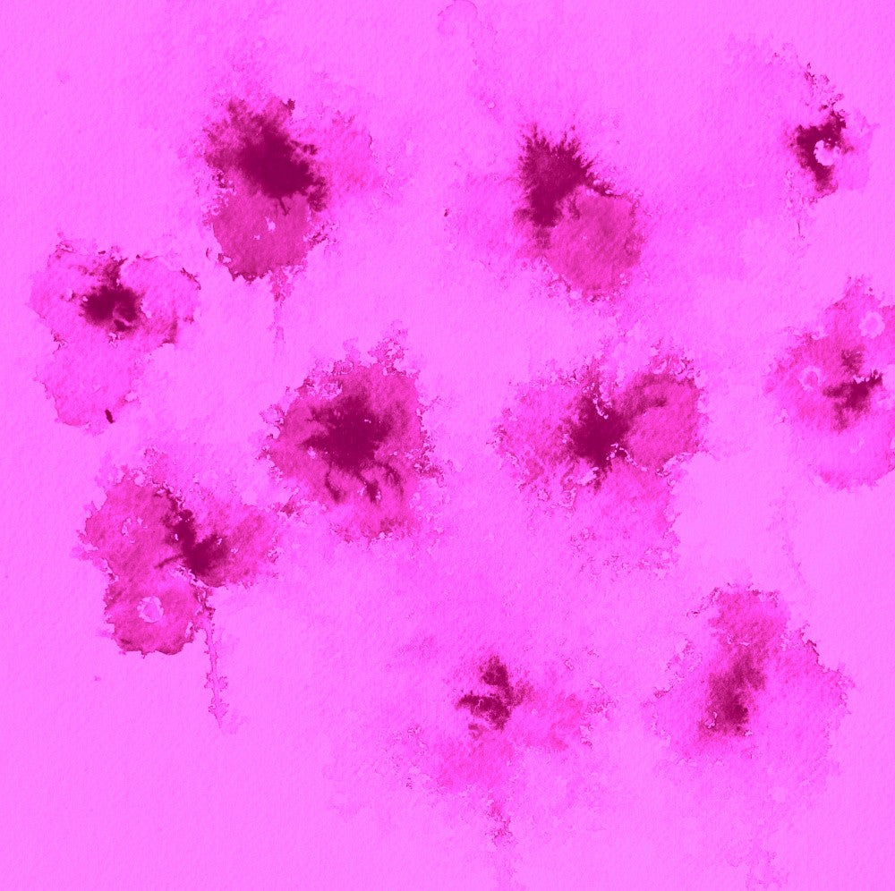 Pink Petal Splashes