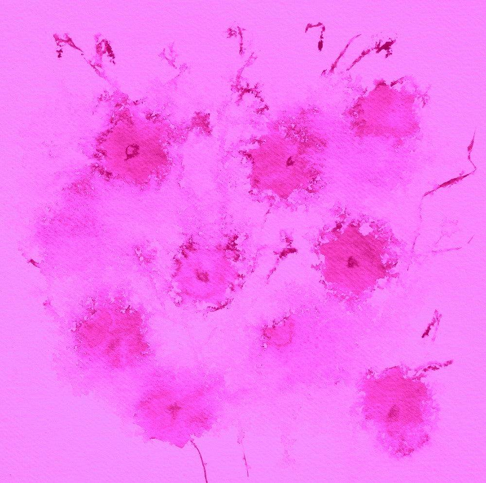 Pink Petal Whispers