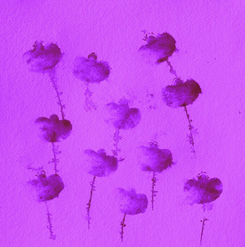 Purple Blossoms