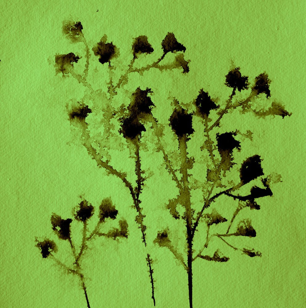 Verdant Silhouettes