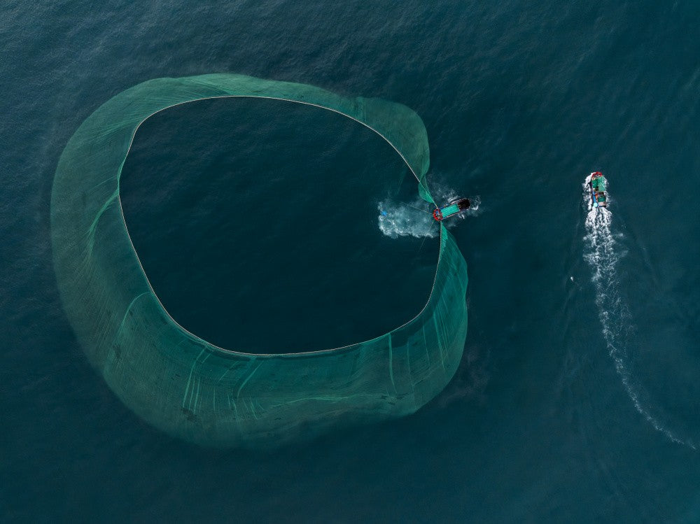 Harvesting the Deep Blue