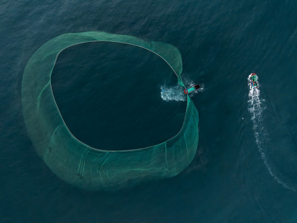 Harvesting the Deep Blue