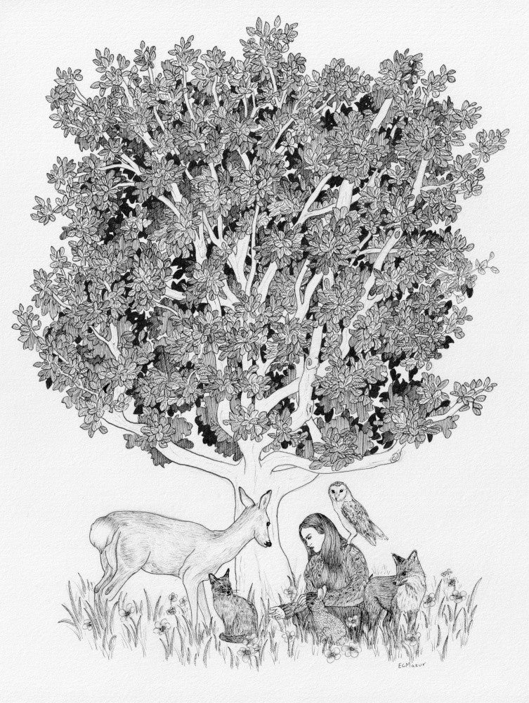 Meet Me Under the Tree