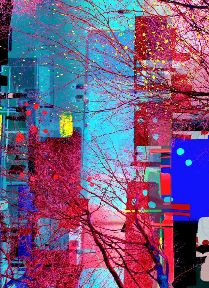 Vibrant Urban Web