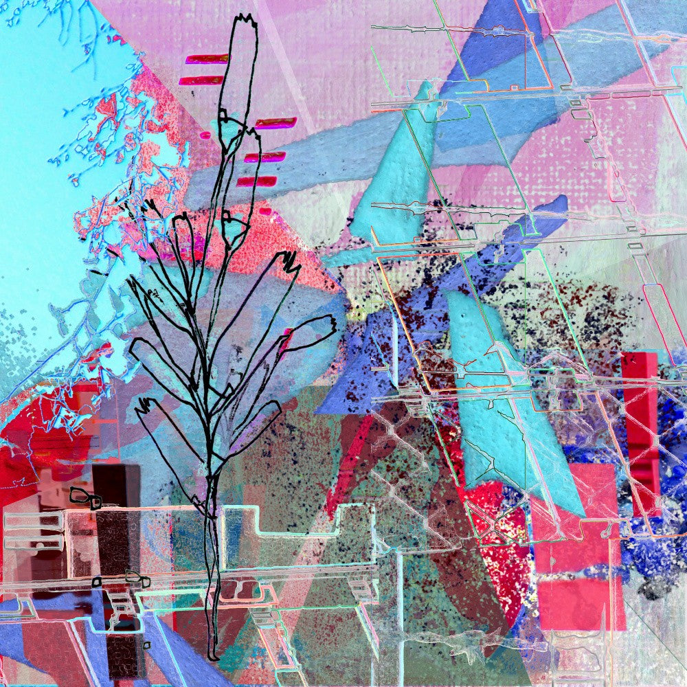 Geometric Shapes and Botanical Elements