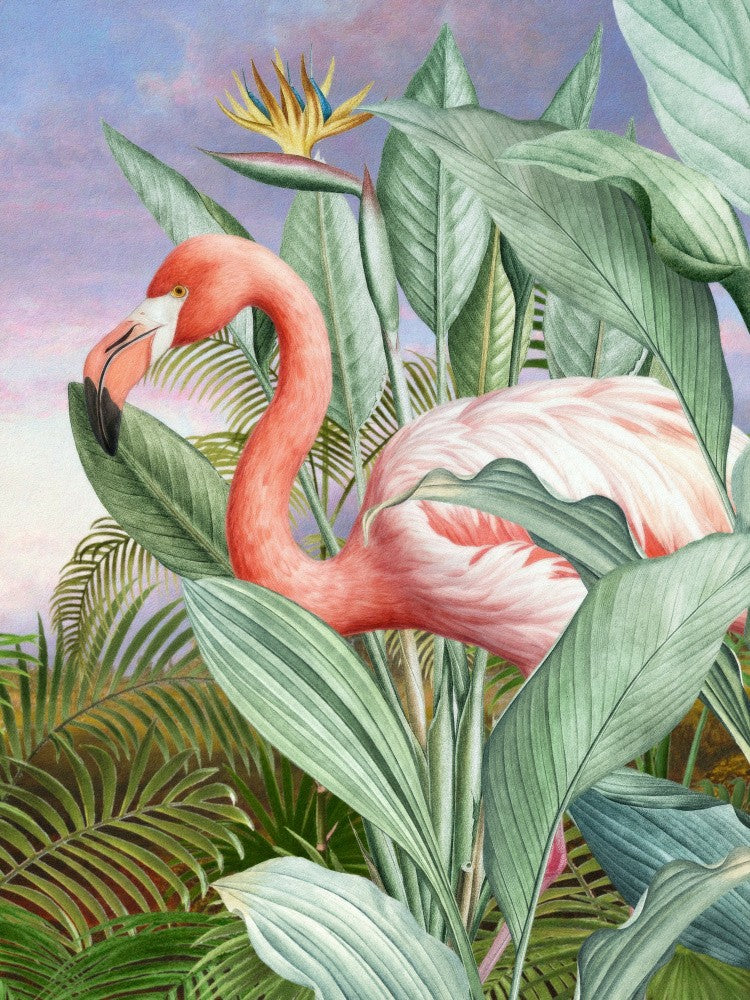 Flamingo Serenity
