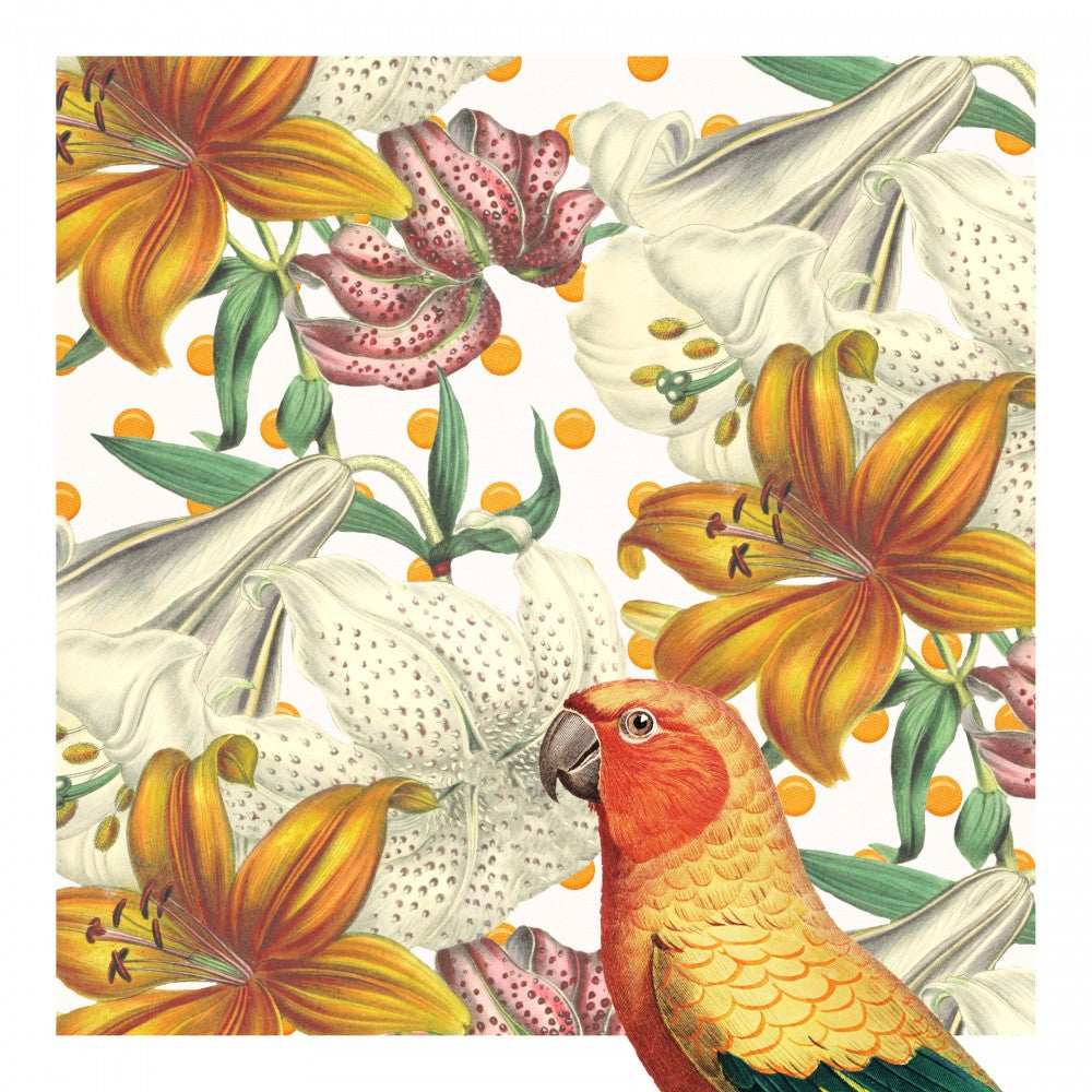Parrot in Bloom
