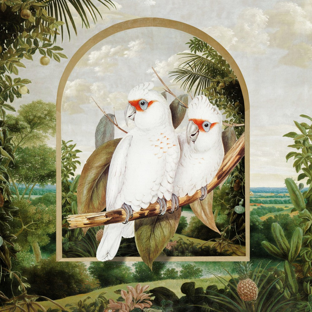 Parrots' Paradise