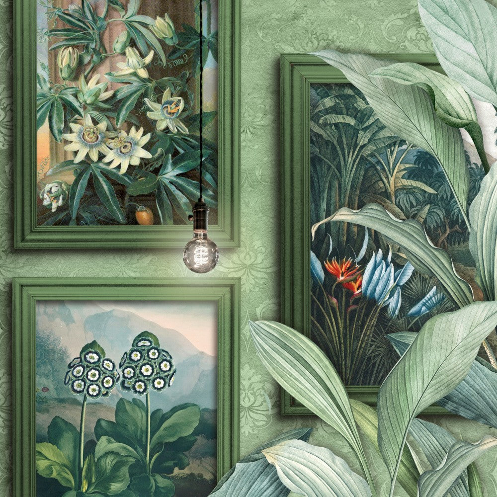 Botanical Woods