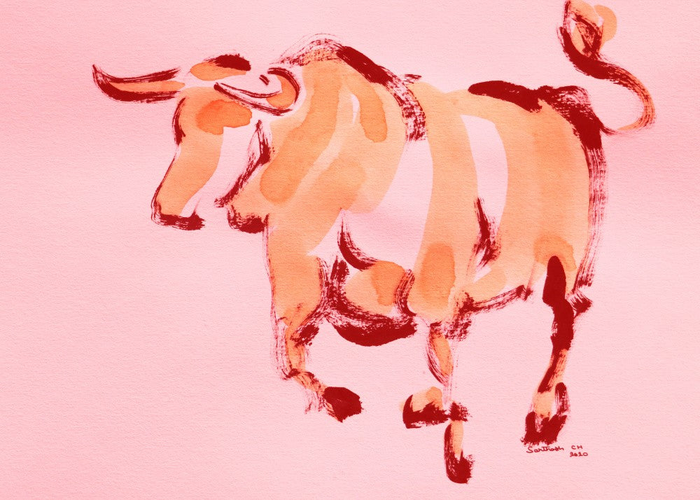 Boisterous Bull Dance