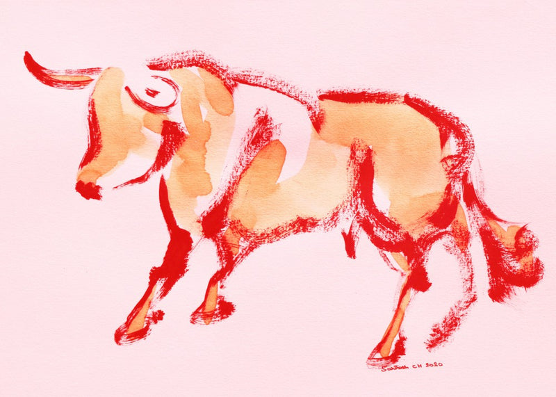 Animals107