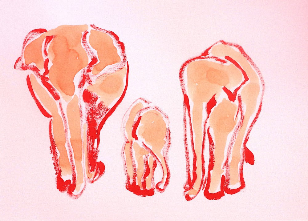 Elephant Harmony