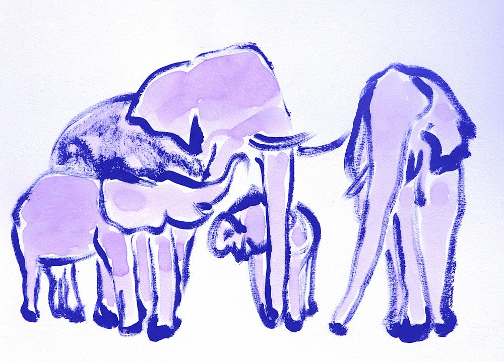 Elephant Serenity