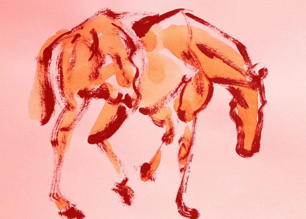 Gentle Equine Grace