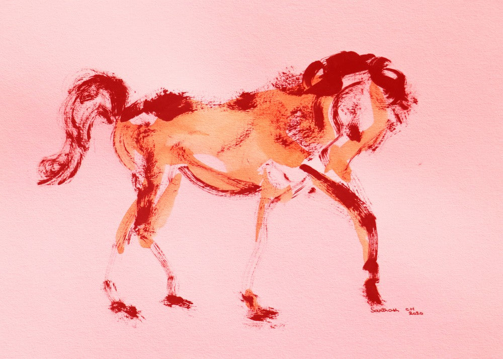 Crimson Equine Dance