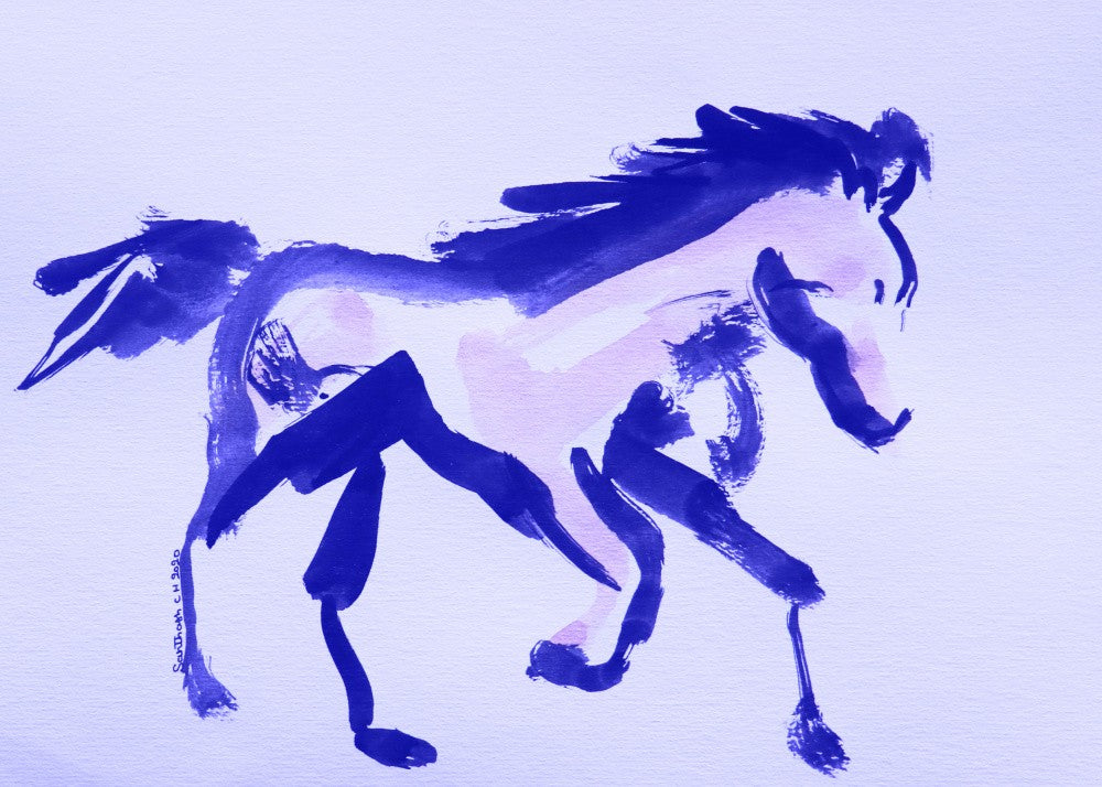 Violet Stallion