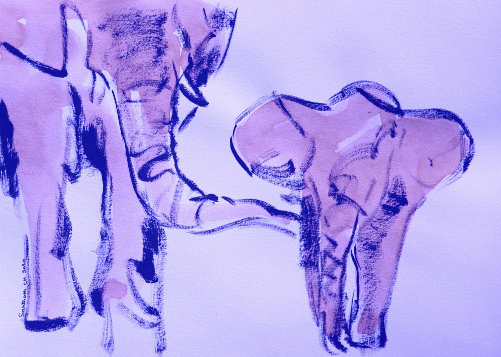 Gentle Giants Duo
