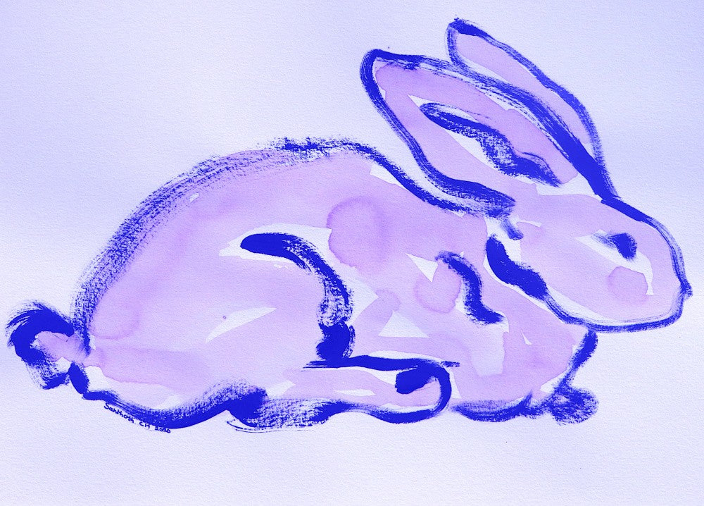 Lilac Bunny Dreams