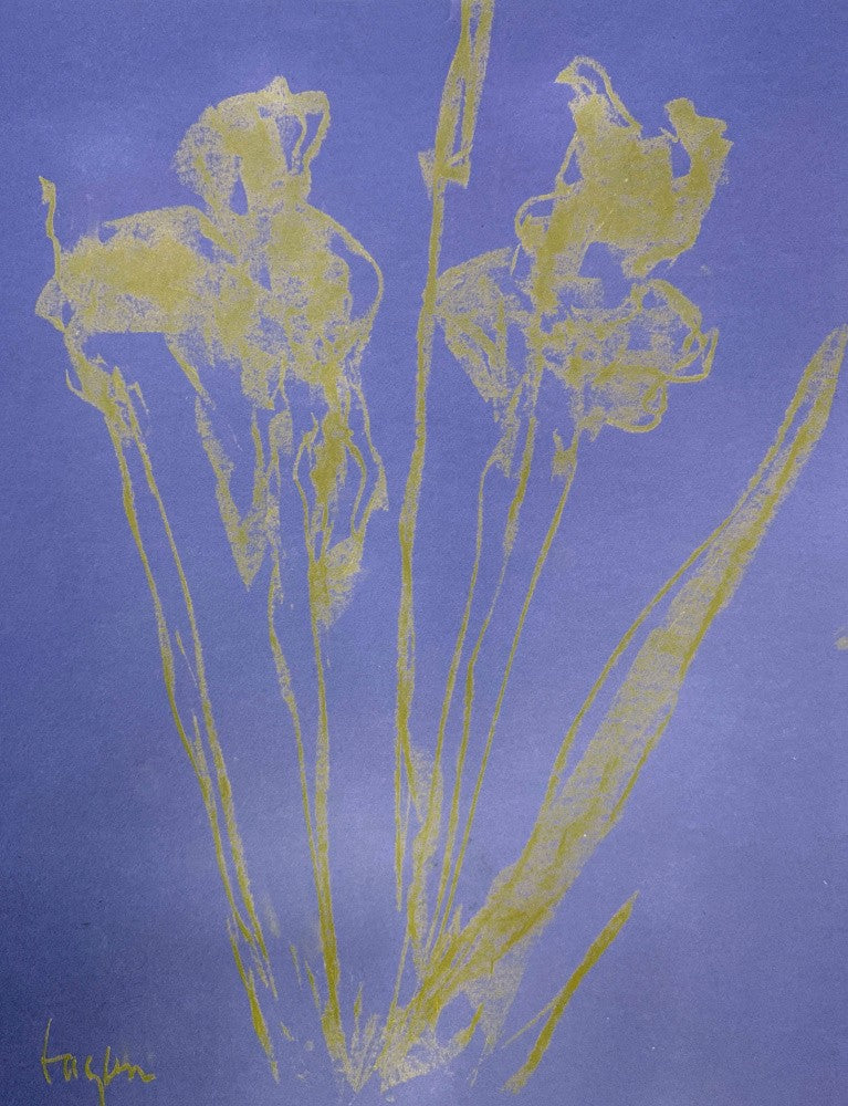 Iris I   Blue