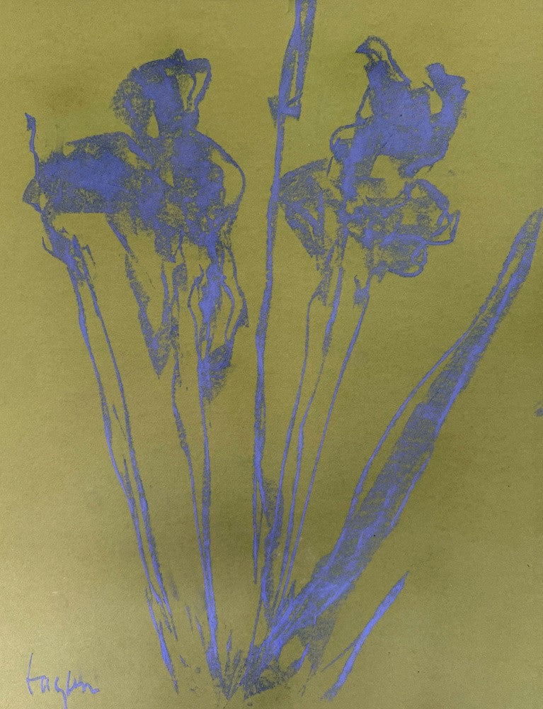Iris I