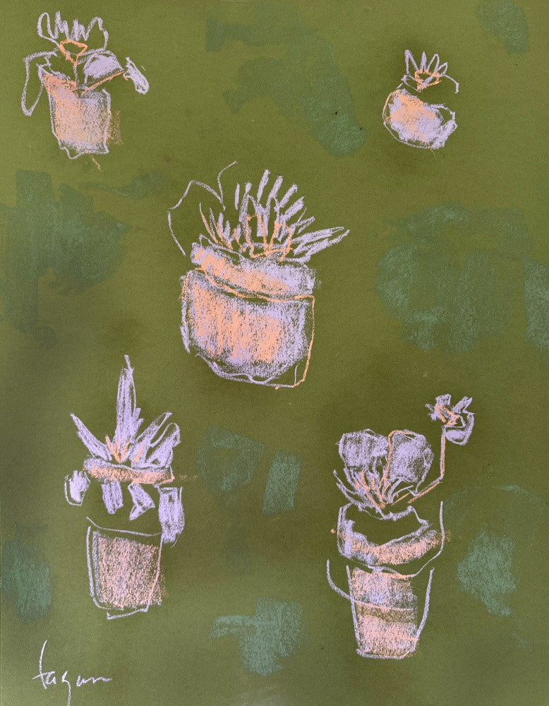 Potted Blessings