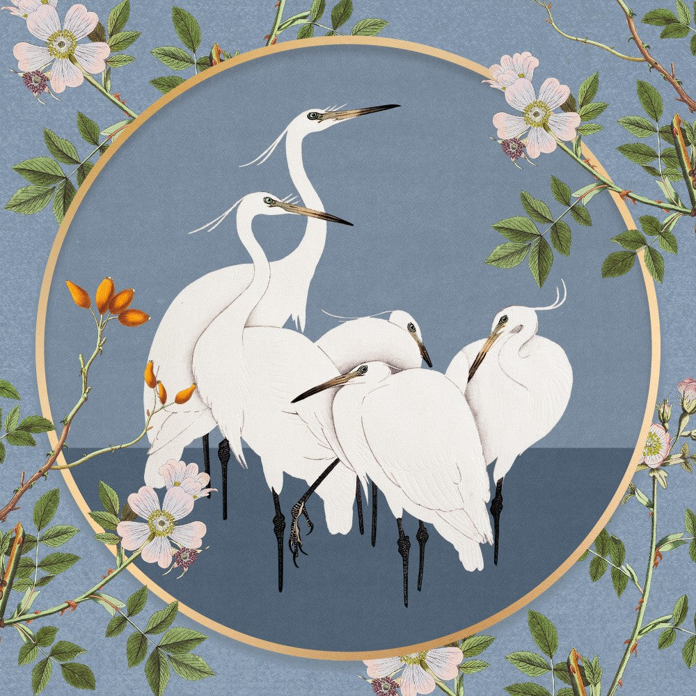 Graceful Egrets' Elegance