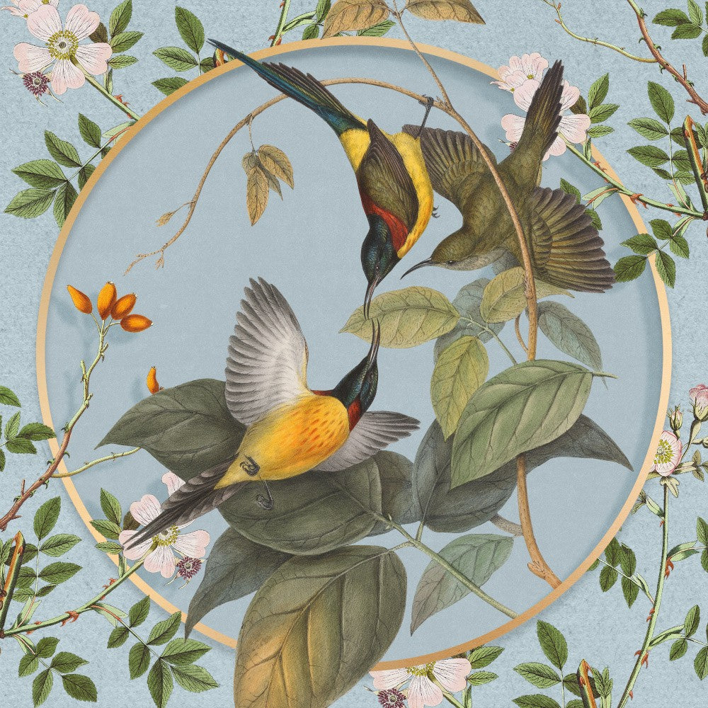Avian Harmony