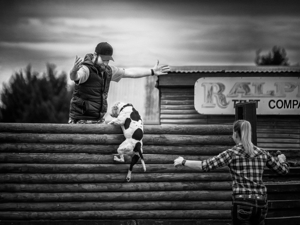 Leap of Trust