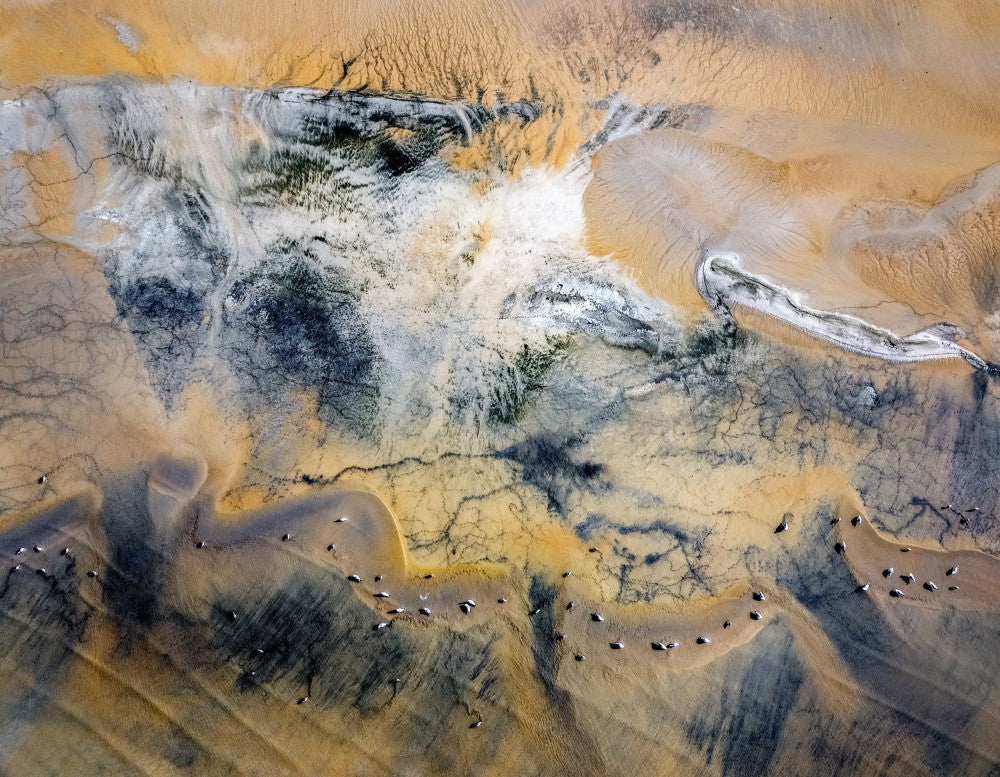 Shallow lake