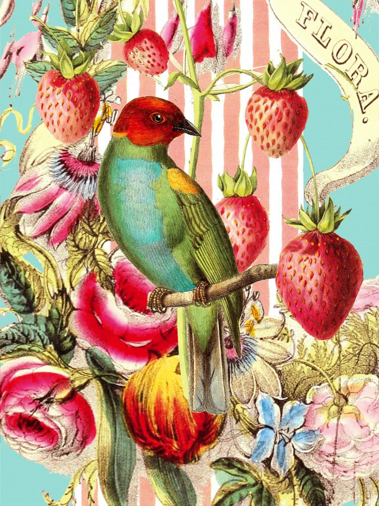 Strawberry Bird Striped