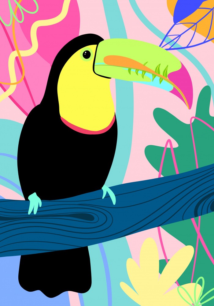 Colorful Toucan