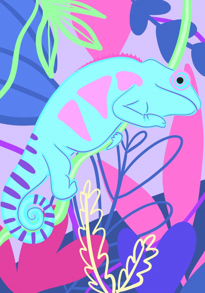 Colorful Chameleon