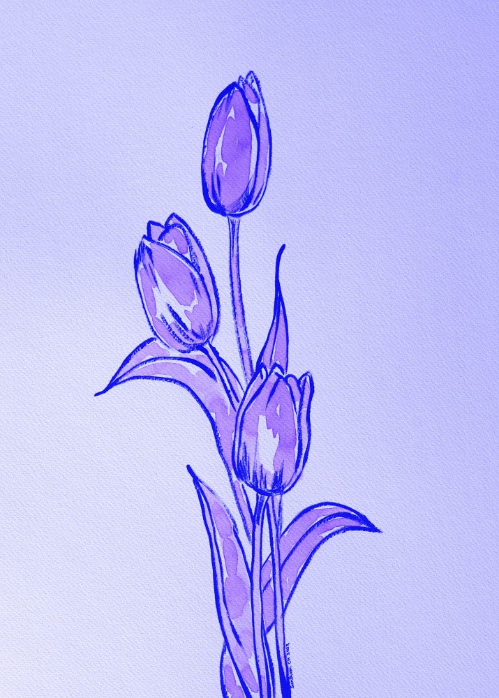 Lavender Tulip Trio