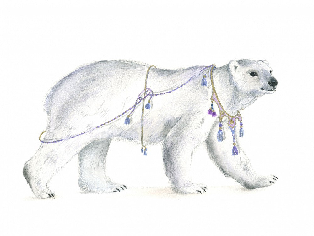 Regal Polar Majesty