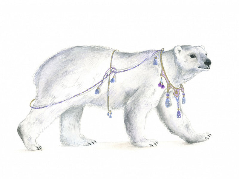 Regal Polar Majesty
