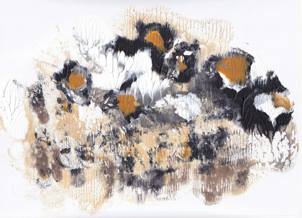 Abstract Blooms