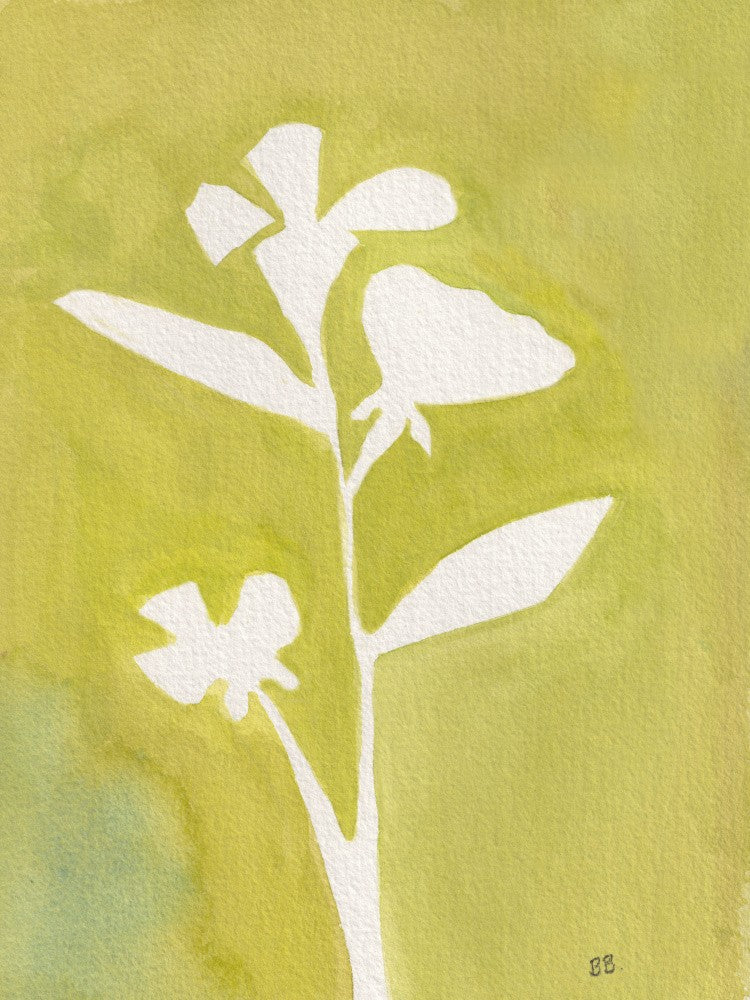 Wildflower 2