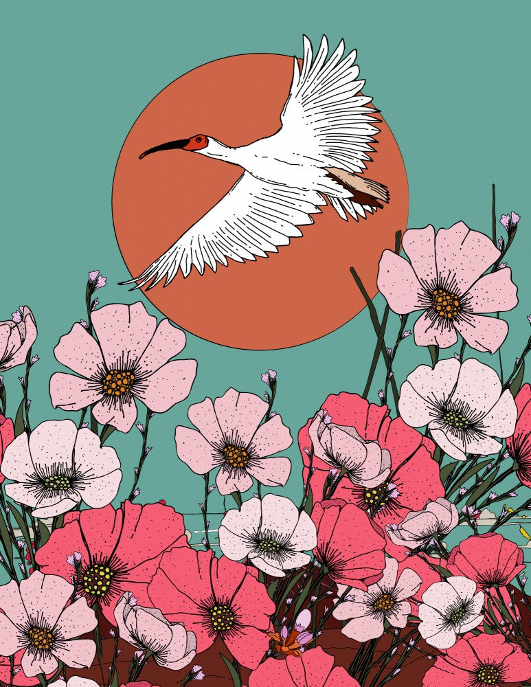 Crested Ibis