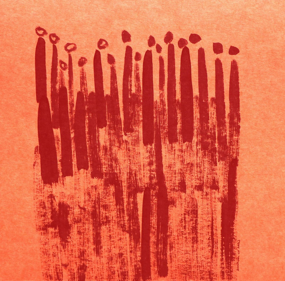Red Cascade Shadows